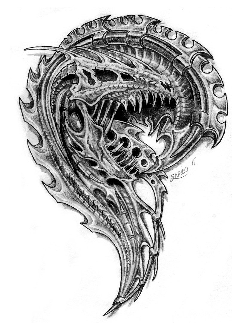 bio-mech dragon skull by sarcovenator on DeviantArt