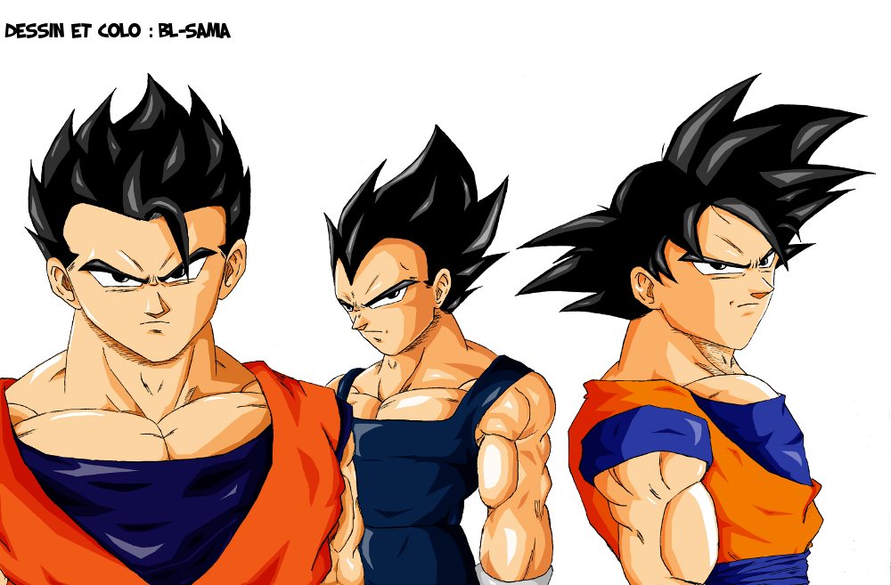 Goku/Vegeta/Gohan Dragon Ball by BL-Sama on DeviantArt