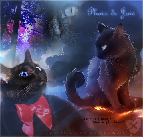 Signatures & Banières Crowfeather___signage_by_eevee33-d4ov2wb