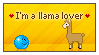 I'm a llama lover by pjuk